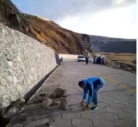 长白山景区再通告说明推迟开放的原因吗?