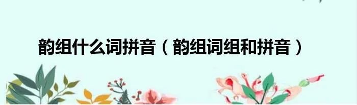 韵组什么词拼音（韵组词组和拼音）
