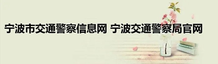 宁波市交通警察信息网 宁波交通警察局官网