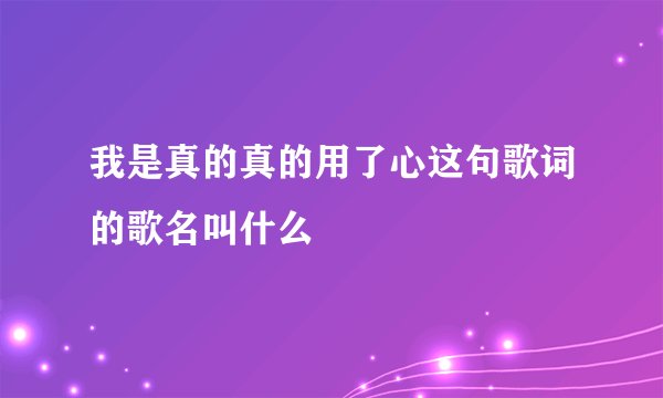 我是真的真的用了心这句歌词的歌名叫什么