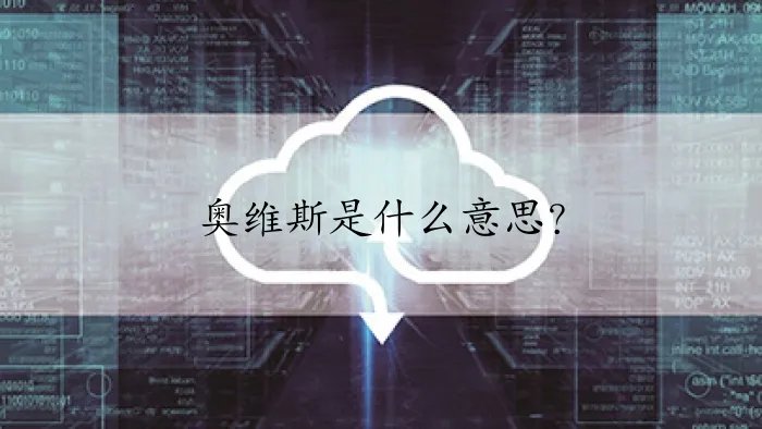 奥维斯是什么意思？