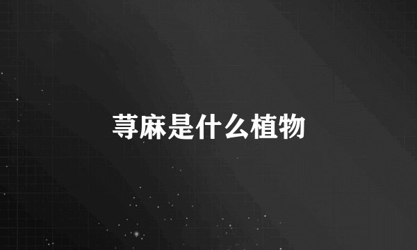荨麻是什么植物