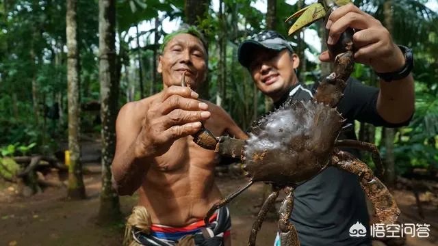 除了《游钓中国》,你还喜欢什么钓鱼类视频?