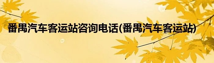 番禺汽车客运站咨询电话(番禺汽车客运站)