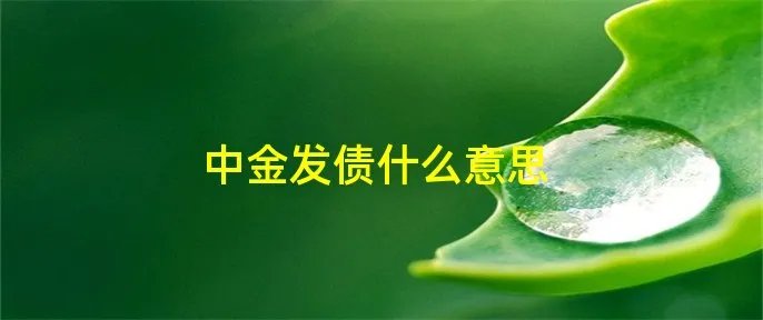 中金发债什么意思