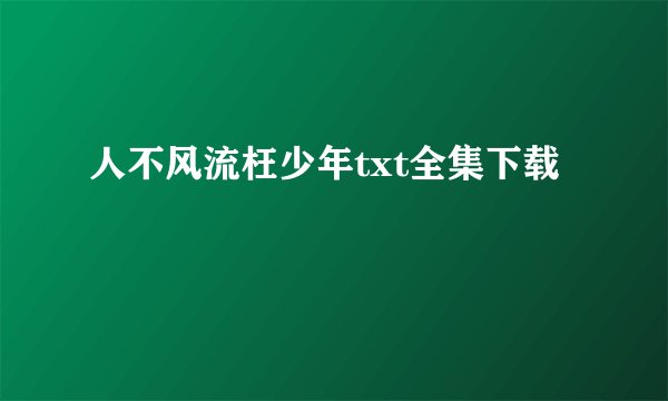 人不风流枉少年txt全集下载