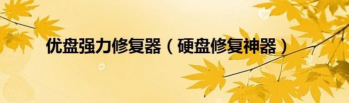 优盘强力修复器（硬盘修复神器）