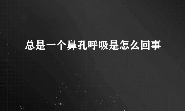 总是一个鼻孔呼吸是怎么回事