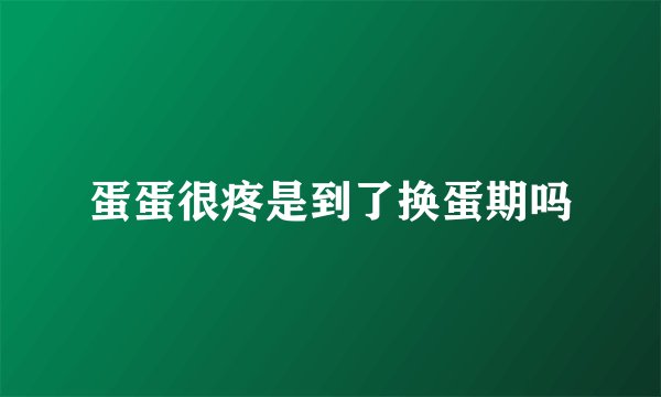 蛋蛋很疼是到了换蛋期吗