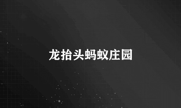 龙抬头蚂蚁庄园