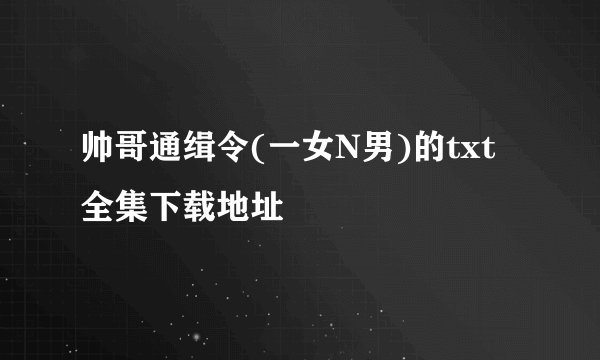 帅哥通缉令(一女N男)的txt全集下载地址