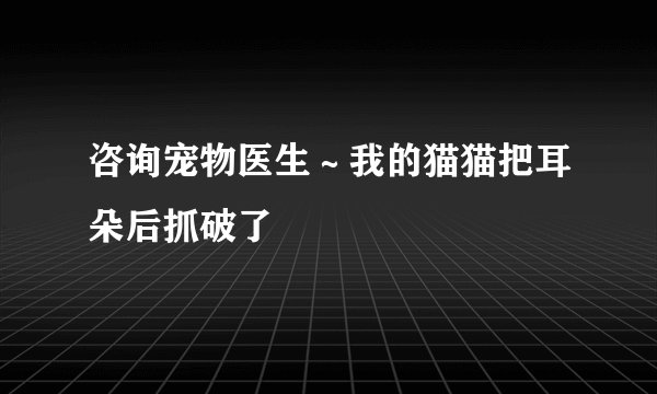 咨询宠物医生～我的猫猫把耳朵后抓破了