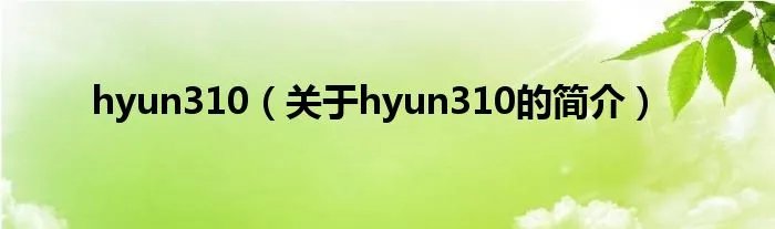 hyun310（关于hyun310的简介）