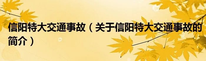 信阳特大交通事故（关于信阳特大交通事故的简介）