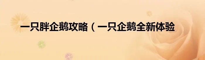 一只胖企鹅攻略（一只企鹅全新体验