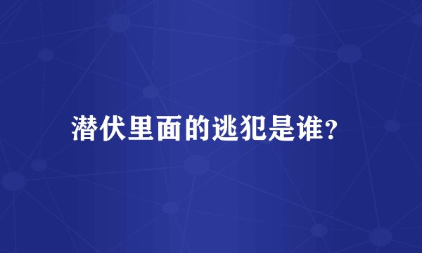 潜伏里面的逃犯是谁？