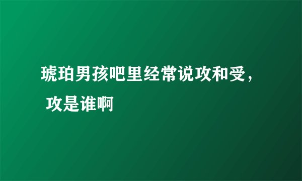 琥珀男孩吧里经常说攻和受, 攻是谁啊