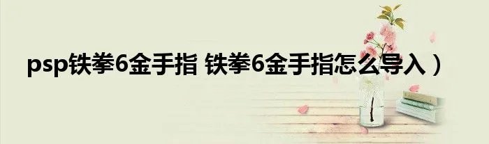 psp铁拳6金手指 铁拳6金手指怎么导入)