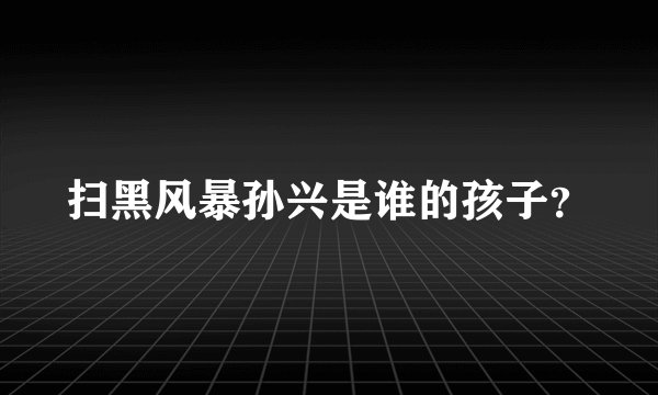 扫黑风暴孙兴是谁的孩子？