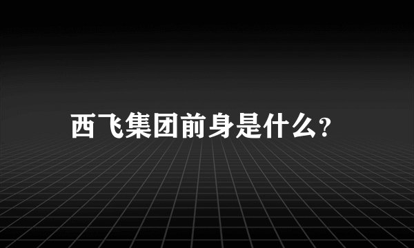 西飞集团前身是什么？