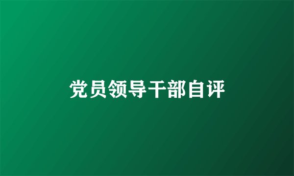 党员领导干部自评