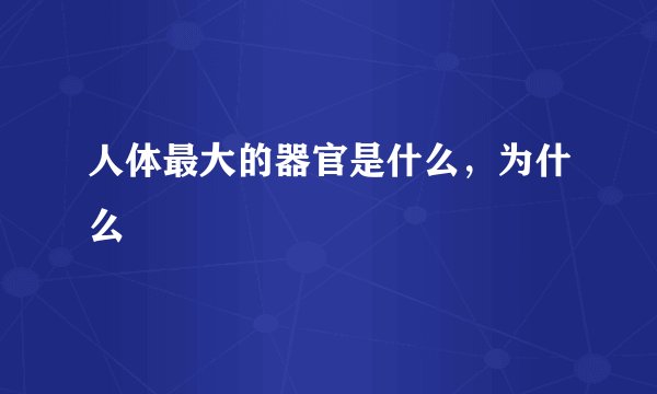 人体最大的器官是什么，为什么
