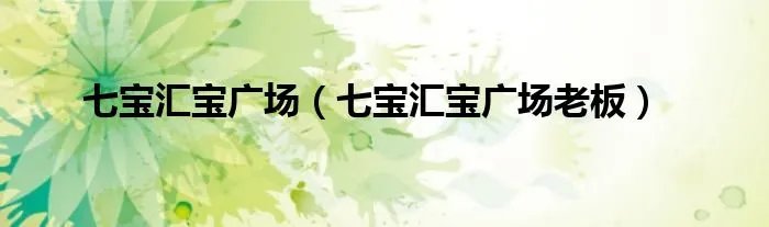 七宝汇宝广场（七宝汇宝广场老板）