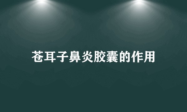 苍耳子鼻炎胶囊的作用