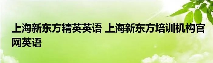 上海新东方精英英语 上海新东方培训机构官网英语