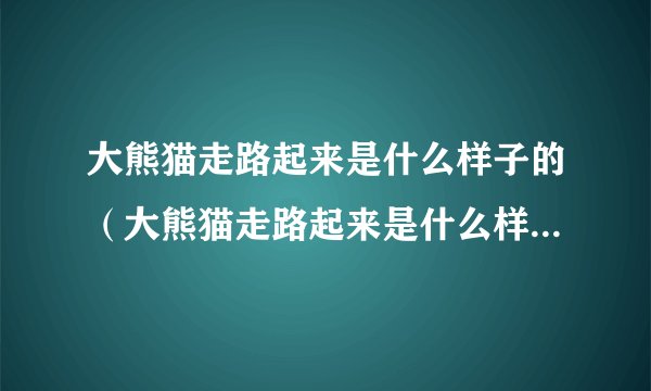 大熊猫走路起来是什么样子的(大熊猫走路起来是什么样子的图片)-飞外
