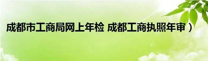 成都市工商局网上年检 成都工商执照年审）