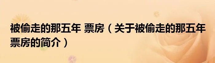 被偷走的那五年 票房（关于被偷走的那五年 票房的简介）