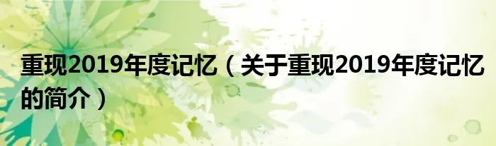 重现2019年度记忆(关于重现2019年度记忆的简介)