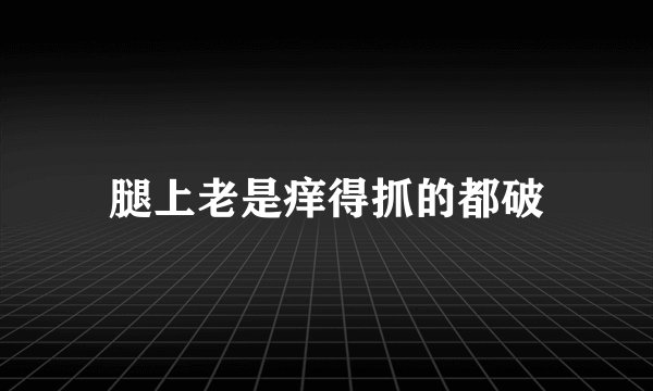 腿上老是痒得抓的都破