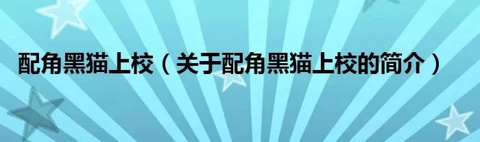 配角黑猫上校(关于配角黑猫上校的简介)