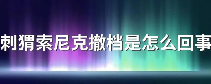 刺猬索尼克撤档是怎么回事 简介刺猬索尼克撤档是怎么回事