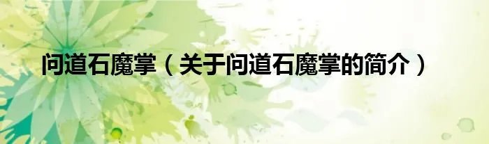 问道石魔掌（关于问道石魔掌的简介）