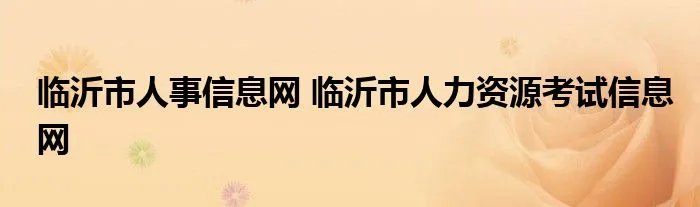 临沂市人事信息网 临沂市人力资源考试信息网