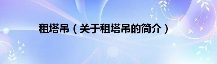 租塔吊（关于租塔吊的简介）