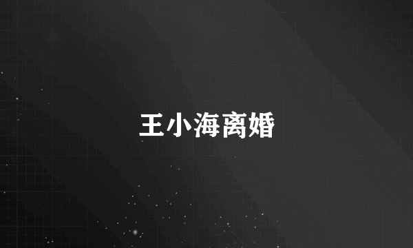 王小海离婚