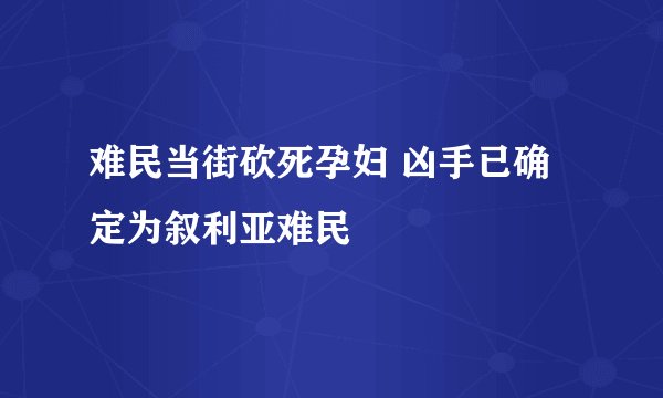 难民当街砍死孕妇 凶手已确定为叙利亚难民