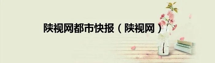 陕视网都市快报（陕视网）