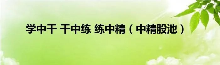 学中干 干中练 练中精（中精股池）