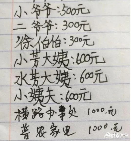 如何看待11岁男孩欠下“巨额债务”?