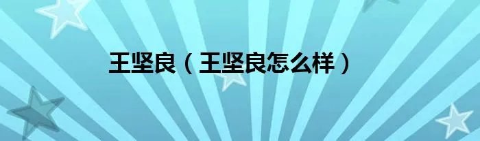 王坚良（王坚良怎么样）