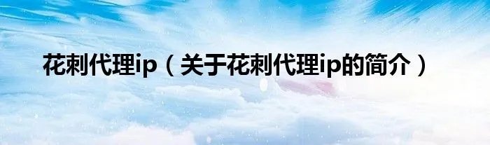 花刺代理ip（关于花刺代理ip的简介）