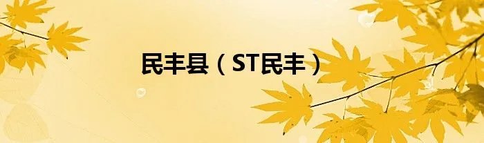 民丰县（ST民丰）