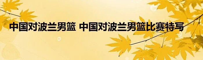 中国对波兰男篮 中国对波兰男篮比赛特写