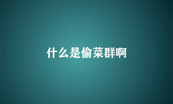 什么是偷菜群啊