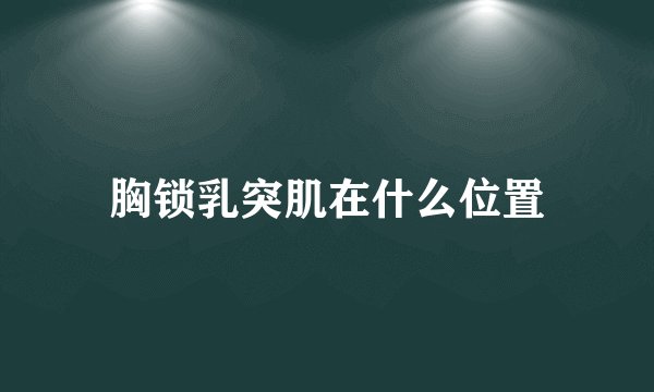 胸锁乳突肌在什么位置